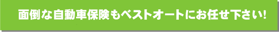 自動車保険もお任せ